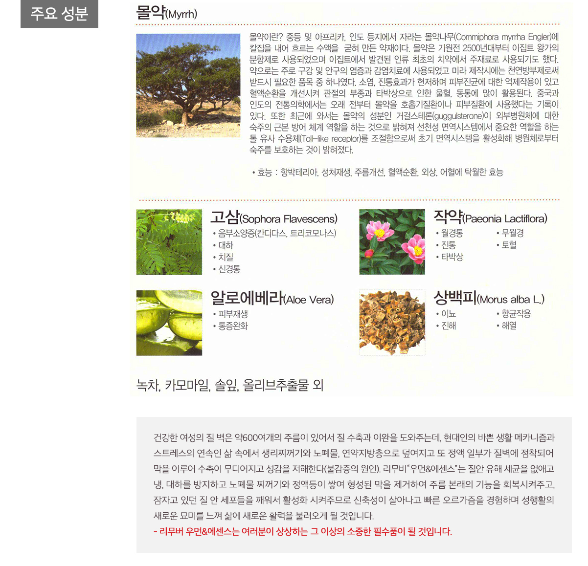 주요성분